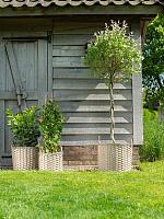 Кашпо Aria pot natural D36 H40 см Кашпо Aria pot natural D36 H40 см