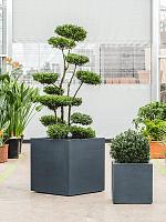 Кашпо Stretto low cube anthracite L80 W80 H60 см