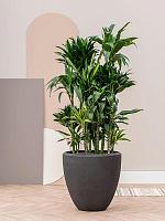 Кашпо Baq polystone plain couple smoke D65 H65 см