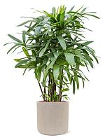 Кашпо Baq raindrop cylinder beige D42 H41 см