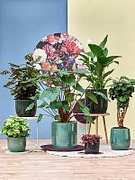 Кашпо Plain striped couple aqua D33 H27 см Кашпо Plain striped couple aqua D33 H27 см