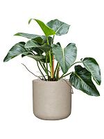 Кашпо Rough charlie xxl grey washed D44 H43 см