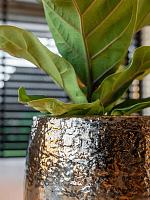 Кашпо Yvette pot gold D9 H7 см Кашпо Yvette pot gold D9 H7 см