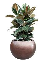 Кашпо Baq metallic silver leaf globe matt coffee (с техническим горшком) D50 H37 см Кашпо Baq metallic silver leaf globe matt coffee (с техническим горшком) D50 H37 см