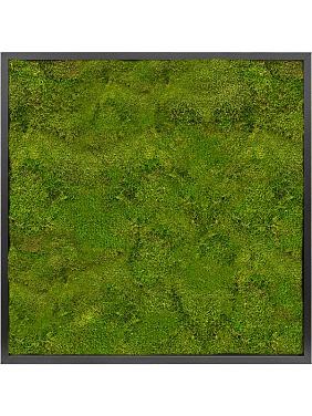 Картина из мха mdf ral 9005 satin gloss 100% flat moss Картина из мха mdf ral 9005 satin gloss 100% flat moss