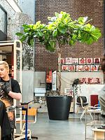 Кашпо Fiberstone jumbo bucket l black D112 H97 см