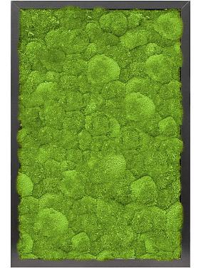 Картина из мха mdf ral 9005 satin gloss 100% ball moss Картина из мха mdf ral 9005 satin gloss 100% ball moss