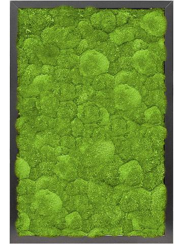 Картина из мха mdf ral 9005 satin gloss 100% ball moss Картина из мха mdf ral 9005 satin gloss 100% ball moss