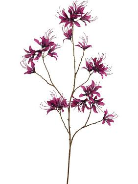 Монарда фиолетовая искусственная