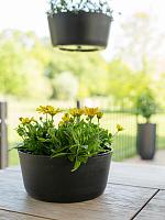 Кашпо Palermo bowl black D27 H12 см Кашпо Palermo bowl black D27 H12 см