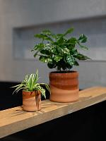 Кашпо Odin pot red terra D7 H8 см Кашпо Odin pot red terra D7 H8 см