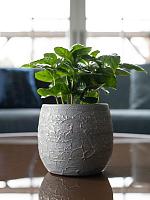 Кашпо Evi pot antique silver D19 H16 см