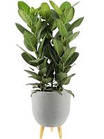 Кашпо Ruth pot light grey (набор 2 шт) D32 H41 см