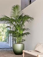 Кашпо Baq gradient couple matt forest green D70 H56 см