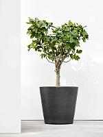 Кашпо Ecopots amsterdam wheels 80 dark grey D80 H75 см