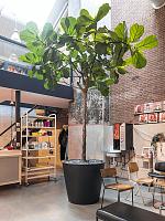 Кашпо Fiberstone bucket l black D70 H60 см