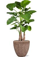 Кашпо Baq polystone rough couple rock (с техническим горшком) D50 H50 см