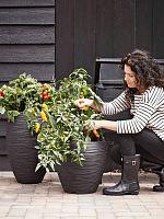 Кашпо Capi nature rib nl vase elegant deluxe black D38 H58 см Кашпо Capi nature rib nl vase elegant deluxe black D38 H58 см