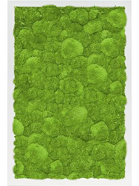 Картина из мха mdf ral 9010 satin gloss 100% ball moss Картина из мха mdf ral 9010 satin gloss 100% ball moss