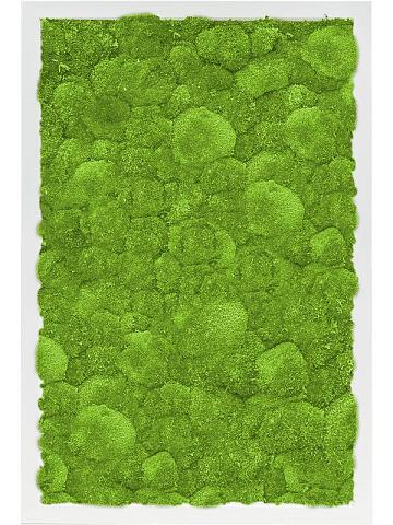 Картина из мха mdf ral 9010 satin gloss 100% ball moss Картина из мха mdf ral 9010 satin gloss 100% ball moss