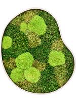 Картина из мха organic frame #1 sand mos (mix) L50 W43 H5 см