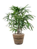 Кашпо Drypot rattan stripe round grey D33 H28 см