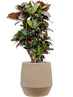 Кашпо Humus pot concrete D30.5 H36 см