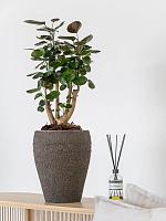 Кашпо Mediterranean ares s umber brown D27 H32 см