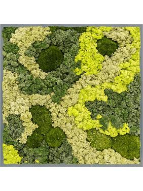 Картина из мха mdf ral 7016 satin gloss 30% ball moss 70% reindeer moss (mix) Картина из мха mdf ral 7016 satin gloss 30% ball moss 70% reindeer moss (mix)