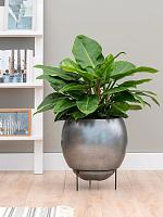 Кашпо Baq metallic silver leaf globe elevated matt silver blue (с техническим горшком + foot) D34 H31 см