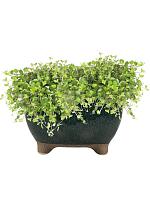 Кашпо Kaat bowl petrol D20 H12 см