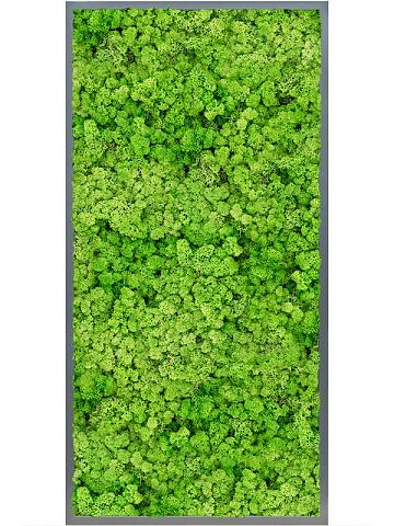 Картина из мха mdf ral 7016 satin gloss 100% reindeer (light grass green) Картина из мха mdf ral 7016 satin gloss 100% reindeer (light grass green)