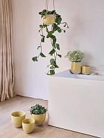 Кашпо Split orchidpot butter D14 H14 см