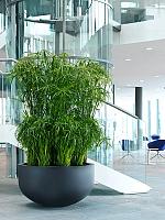 Кашпо Fiberstone city bowl s black D92 H50 см Кашпо Fiberstone city bowl s black D92 H50 см