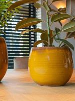 Кашпо Charlotte pot ochre D23 H20 см