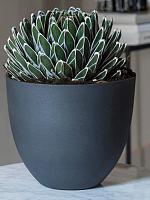 Кашпо Refined coral s volcano black D18 H15 см Кашпо Refined coral s volcano black D18 H15 см