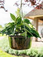 Кашпо подвесное Palermo hanger marble brown D27 H12 см Кашпо подвесное Palermo hanger marble brown D27 H12 см