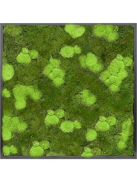 Картина из мха mdf ral 9005 satin gloss 30% ball- and 70% flat moss Картина из мха mdf ral 9005 satin gloss 30% ball- and 70% flat moss