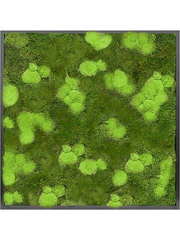 Картина из мха mdf ral 9005 satin gloss 30% ball- and 70% flat moss Картина из мха mdf ral 9005 satin gloss 30% ball- and 70% flat moss