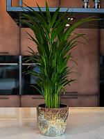 Кашпо Fern pot camouflage D13 H12 см