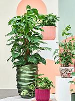 Кашпо Baq gradient lee partner matt forest green (с техническим горшком) D40 H61 см