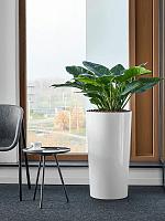 Кашпо Baq ecoline rise regular partner straight D40 H75 см