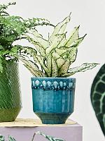 Кашпо Otis pot 2-tone petrol D12 H11 см Кашпо Otis pot 2-tone petrol D12 H11 см