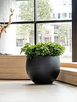 Кашпо Fiberstone jumbo orb l black D133 H114 см Кашпо Fiberstone jumbo orb l black D133 H114 см