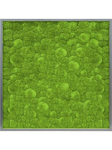 Картина из мха mdf ral 7016 satin gloss 100% ball moss Картина из мха mdf ral 7016 satin gloss 100% ball moss