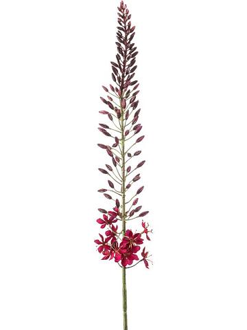 Эремурус бургунди искусственный