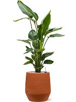 Кашпо Humus pot terra D28.5 H33 см