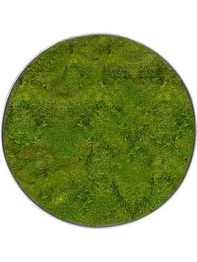 Картина из мха nova frame natural-concrete 100% flat moss