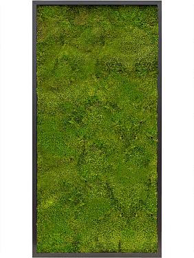 Картина из мха mdf ral 9005 satin gloss 100% flat moss Картина из мха mdf ral 9005 satin gloss 100% flat moss