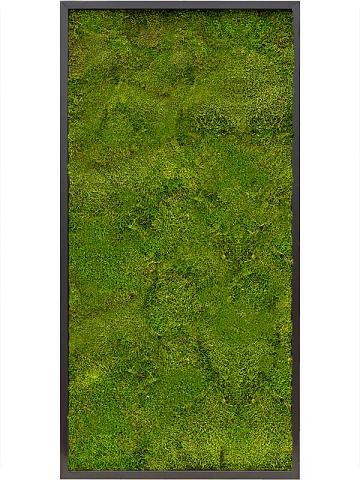 Картина из мха mdf ral 9005 satin gloss 100% flat moss